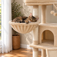 Chat tigré endormi dans le hamac beige de l’arbre à chat Oat