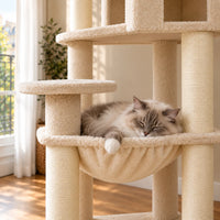 Chat endormi dans le grand hamac beige de l’arbre à chat Froment