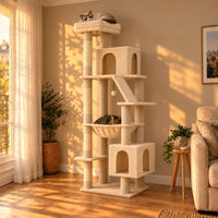 Arbre à chat Barley beige de 180 cm dans le salon au coucher du soleil avec deux chats endormis