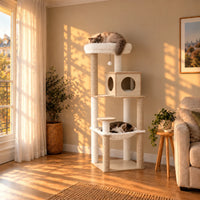 Arbre à chat Aspen bois clair et crème dans un salon au coucher du soleil avec deux chats endormis