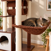 Chat tigré endormi dans le hamac matelassé brun de l'arbre à chat Maple