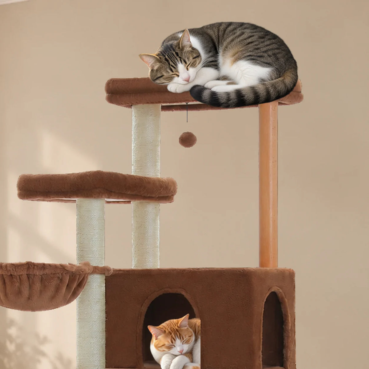 Gros plan sur les deux chats endormis sur la plateforme et dans la niche de l’arbre à chat Walnut brun