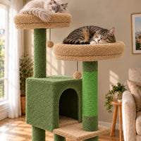 Gros plan de deux chats endormis sur les perchoirs beiges de l’arbre à chat Juniper vert mousse