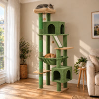 Arbre à chat Ivy vert dans un salon, chats endormis sur le perchoir et dans le hamac