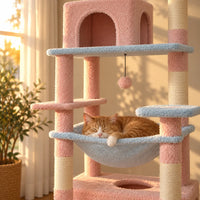 Chat roux endormi dans le hamac bleu de l’arbre à chat Daisy
