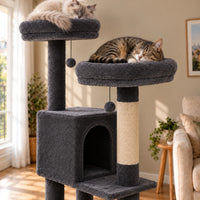 Chat tabby endormi sur le perchoir anthracite de l’arbre à chat Bramble avec niche et poteau en sisal