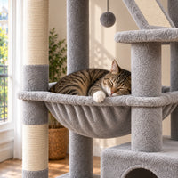 Chat endormi dans le hamac gris de l’arbre à chat Dove