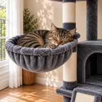 Chat tigré endormi dans le hamac gris de l’arbre à chat Flint