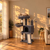 Arbre à chat Flint gris dans le salon au coucher du soleil avec deux chats endormis