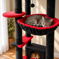 Chat tigré endormi dans le hamac noir et rouge de l'arbre à chat Raven
