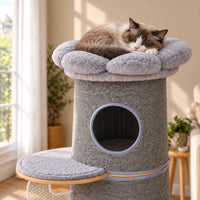 Chat endormi sur le coussin fleuri gris au sommet de l'arbre à chat Marlow