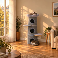 Tour pour chat Marlow grise dans le salon au coucher du soleil, chats endormis
