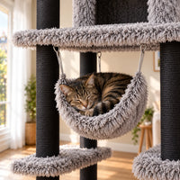 Chat tigré endormi dans le hamac en peluche grise de l'arbre à chat Pebble