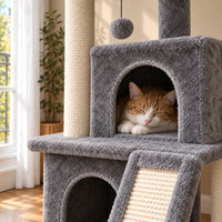 Chat roux endormi dans la niche supérieure grise de l’arbre à chat Mabel
